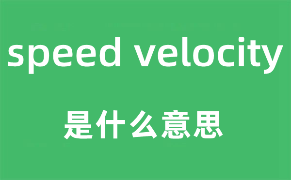 speed velocity是什么意思,中文翻譯是什么