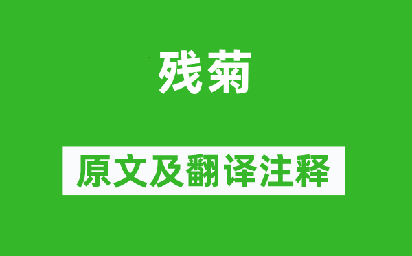 曹雪芹《殘菊》原文及翻譯注釋,詩意解釋