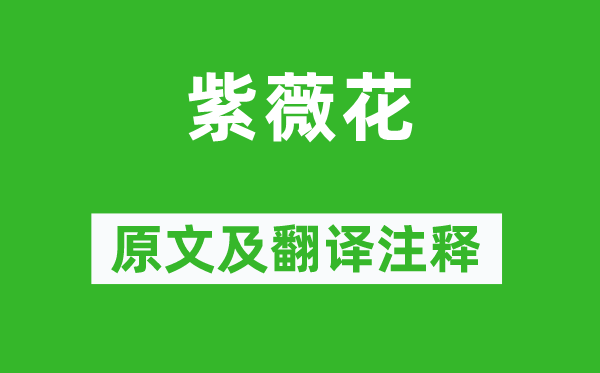 杜牧《紫薇花》原文及翻譯注釋,詩意解釋