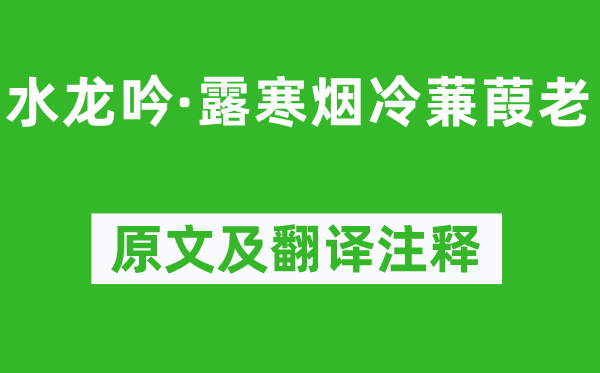 蘇軾《水龍吟·露寒煙冷蒹葭老》原文及翻譯注釋,詩意解釋