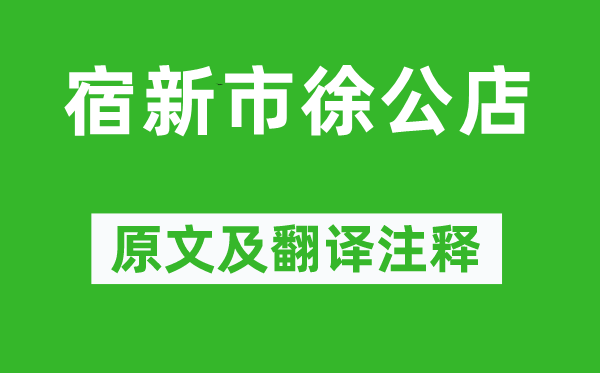 楊萬里《宿新市徐公店》原文及翻譯注釋,詩意解釋
