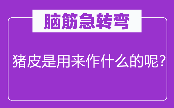 腦筋急轉(zhuǎn)彎：豬皮是用來(lái)作什么的呢？