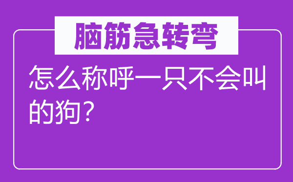 腦筋急轉(zhuǎn)彎：怎么稱呼一只不會(huì)叫的狗？
