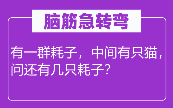 腦筋急轉(zhuǎn)彎:有一群耗子,中間有只貓,問還有幾只耗子?