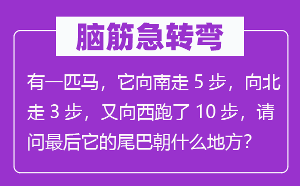 腦筋急轉(zhuǎn)彎：有一匹馬，它向南走5步，向北走3步，又向西跑了10步，請(qǐng)問(wèn)最后它的尾巴朝什么地方？