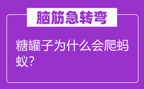腦筋急轉(zhuǎn)彎：糖罐子為什么會爬螞蟻？