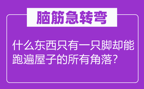 腦筋急轉彎：什么東西只有一只腳卻能跑遍屋子的所有角落？