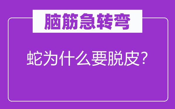 腦筋急轉(zhuǎn)彎：蛇為什么要脫皮？