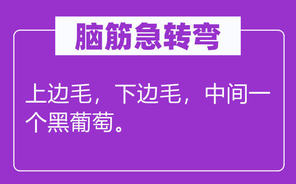 腦筋急轉彎：上邊毛，下邊毛，中間一個黑葡萄。