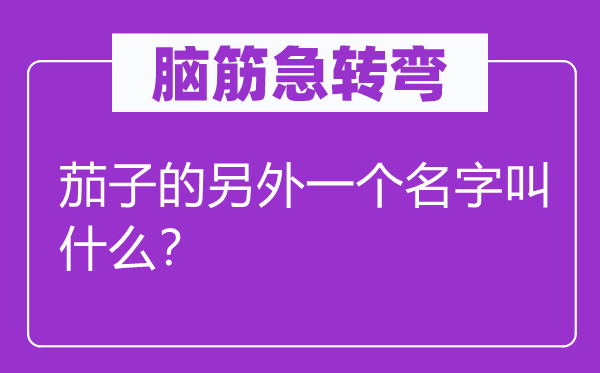 腦筋急轉彎：茄子的另外一個名字叫什么？