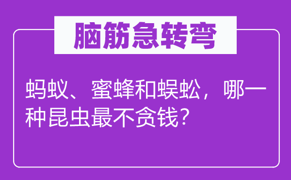 腦筋急轉彎：螞蟻、蜜蜂和蜈蚣，哪一種昆蟲最不貪錢？
