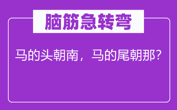 腦筋急轉彎：馬的頭朝南，馬的尾朝那？