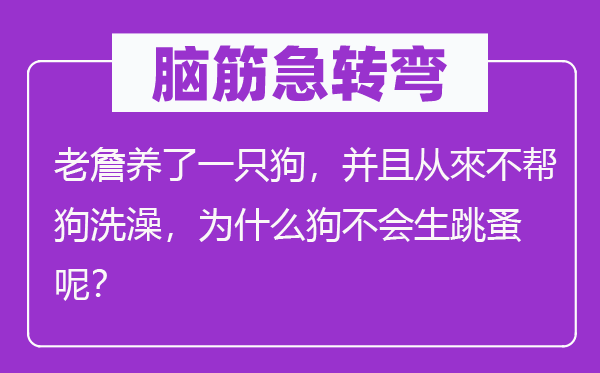 腦筋急轉彎：老詹養了一只狗，并且從來不幫狗洗澡，為什么狗不會生跳蚤呢？