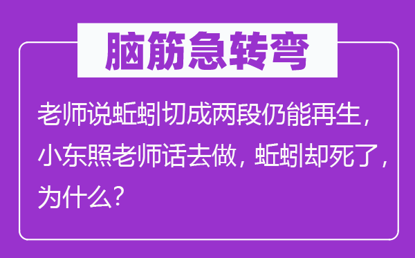 腦筋急轉彎：老師說蚯蚓切成兩段仍能再生，小東照老師話去做，蚯蚓卻死了，為什么？