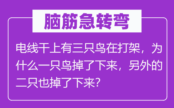 腦筋急轉彎：電線干上有三只鳥在打架，為什么一只鳥掉了下來，另外的二只也掉了下來？
