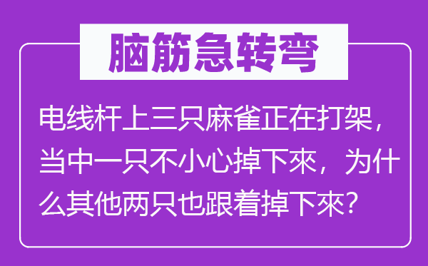 腦筋急轉彎：電線桿上三只麻雀正在打架，當中一只不小心掉下來，為什么其他兩只也跟著掉下來？