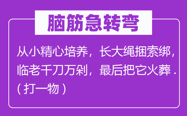 腦筋急轉彎：從小精心培養，長大繩捆索綁，臨老千刀萬剁，最后把它火葬.(打一物)