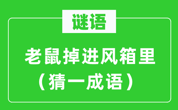 謎語：老鼠掉進風箱里（猜一成語）
