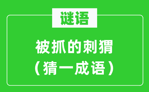 謎語：被抓的刺猬（猜一成語）