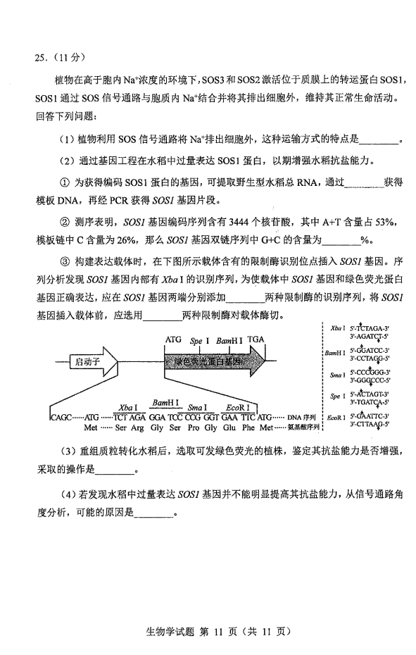 新高考2024七省聯考生物試卷及答案解析