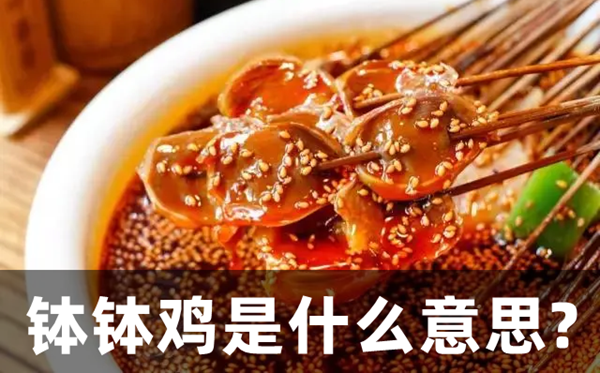 缽缽雞是什么意思,為啥要叫缽缽雞