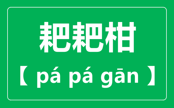 耙耙柑怎么讀,耙耙柑念pa還是ba,耙耙柑和橘子的區別是什么