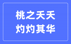 桃之夭夭，灼灼其華是什么意