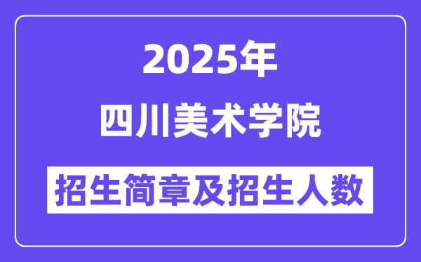 四川美術學院2025高考招生簡章,各省招生計劃人數匯總