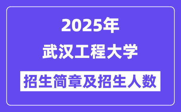 武漢工程大學2025高考招生簡章,各省招生計劃人數匯總