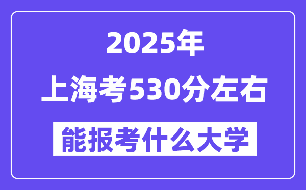 2025年上海考530分左右能報考上什么大學?附位次排名對照表