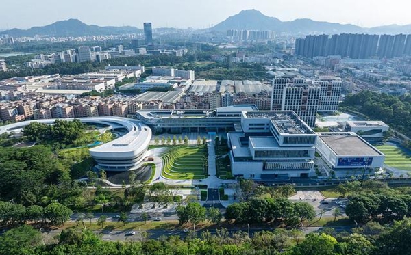 大灣區大學是公辦還是民辦？