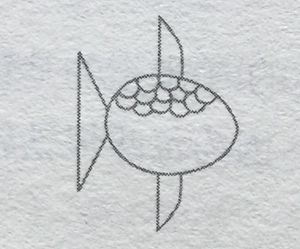 魚(yú)鱗的變化答案